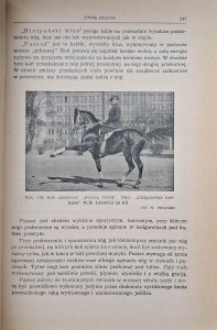 pruski hodowla koni 3.jpg