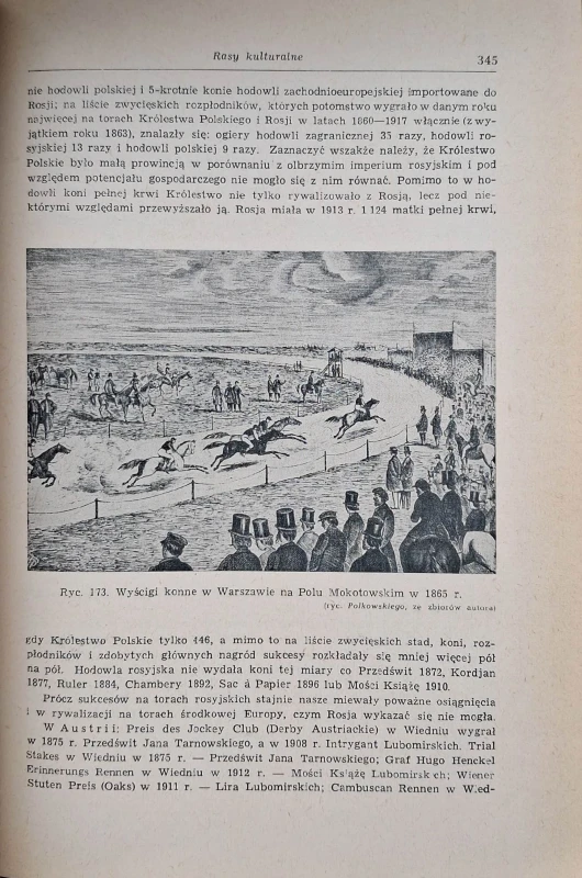 pruski hodowla koni 4.jpg