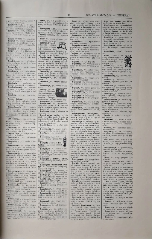 arcta słownik ilustrowany 3.jpg