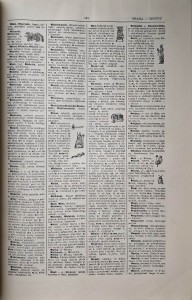 arcta sownik ilustrowany 4.jpg