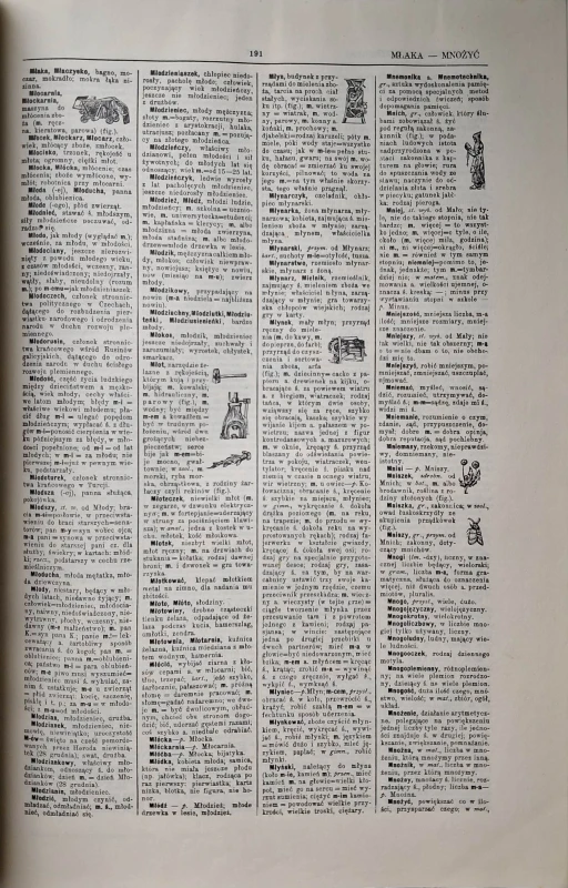 arcta sownik ilustrowany 4.jpg