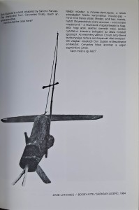 abakanowicz hasior 2.jpg