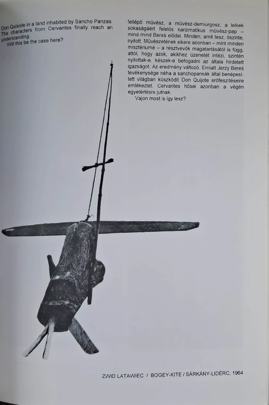 abakanowicz hasior 2.jpg