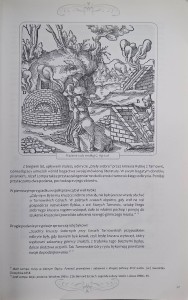 zamek w tarnowicach starych 2.jpg