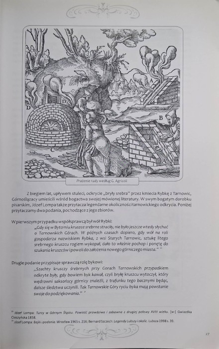 zamek w tarnowicach starych 2.jpg