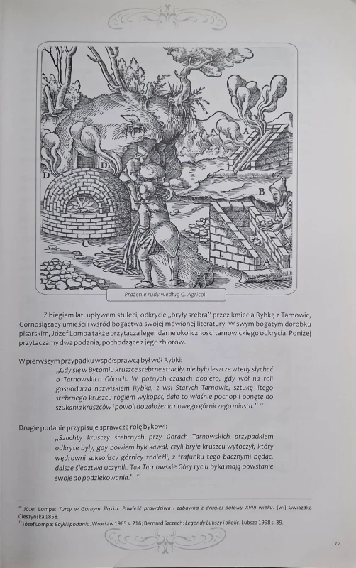 zamek w tarnowicach starych 2.jpg