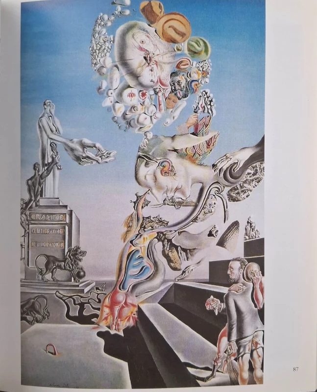 dali album 2.jpg