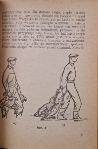 konserwacja dziczyzny i skór 3.jpg