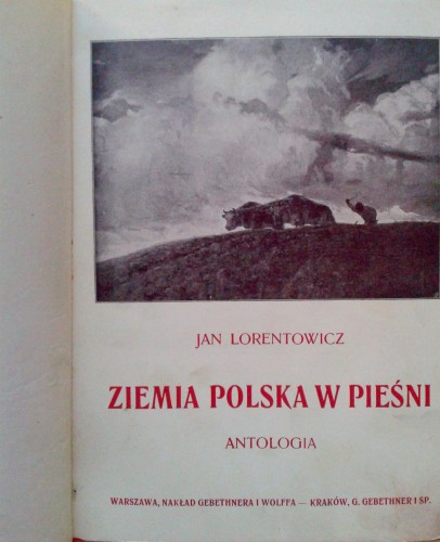 Zdjęcie-0226.jpg