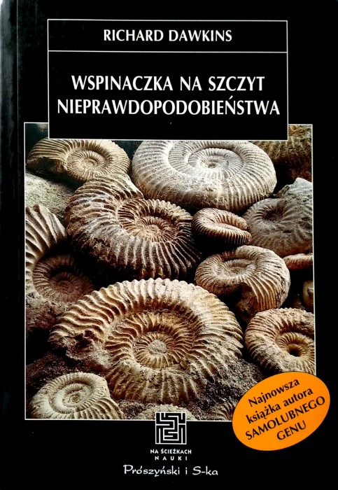 Nowy Dokument 2018-05-16_9.jpg
