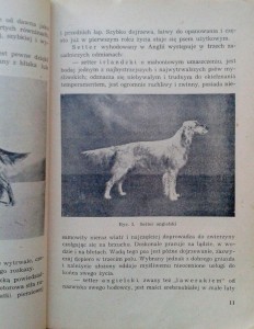 Zdjęcie-0218.jpg