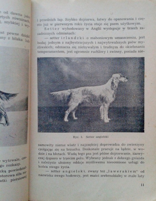 Zdjęcie-0218.jpg