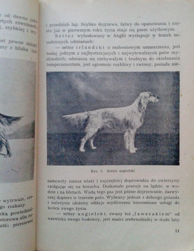 Zdjęcie-0218.jpg