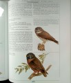Nowy Dokument 2017-05-05_4.jpg