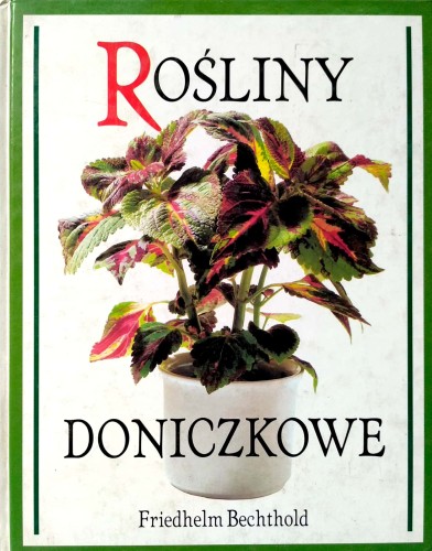 Nowy Dokument 2017-08-17_58.jpg