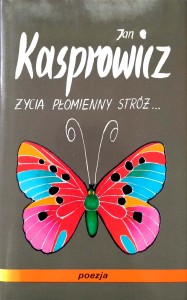 Jan Kasprowicz, Życia płomienny stróż