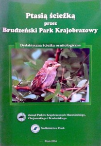 Ptasią ścieżką przez Brudzeński Park Krajobrazowy