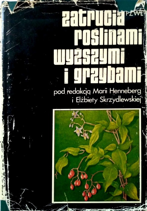 Nowy Dokument 2017-12-01_9.jpg