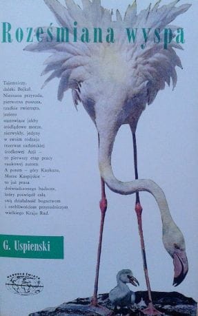 Zdjęcie-0107.jpg