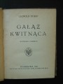 Zdjecia 069.jpg