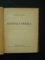 Zdjecia 067.jpg