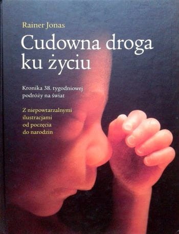 Zdjęcie-0217.jpg