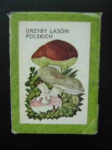 Grzyby lasów polskich Pocztówki