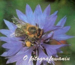 Andrzej A. Mroczek, O fotografowaniu
