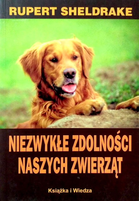 Nowy Dokument 2017-10-30_3.jpg