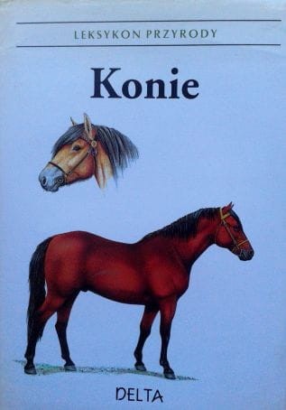 Zdjęcie-0257.jpg
