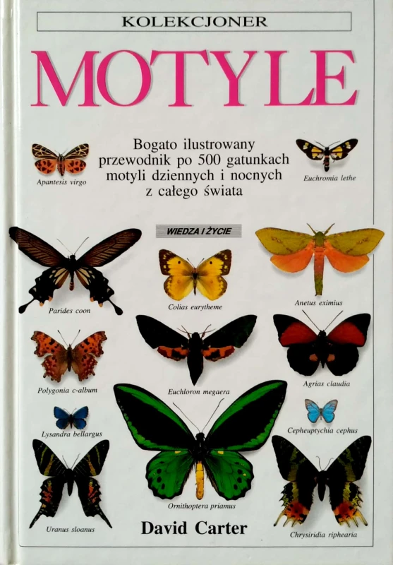 Nowy Dokument 2018-09-28 15.08.12_20.jpg