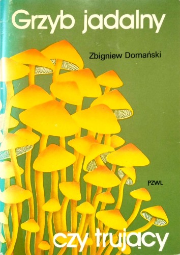 Nowy Dokument 2017-07-31_40.jpg