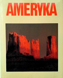 Stane Stanić, Ameryka