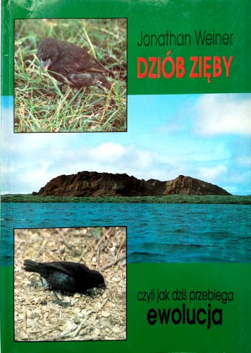 Nowy Dokument 2017-10-09_40.jpg