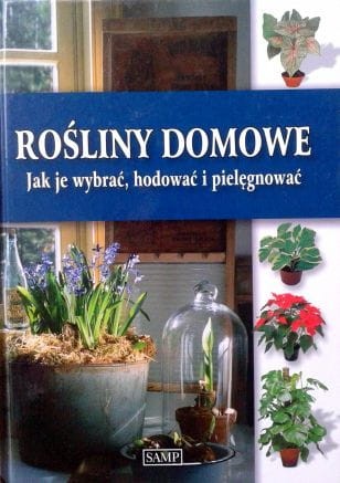 Zdjęcie-0361.jpg