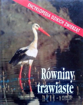 Zdjęcie-0107.jpg