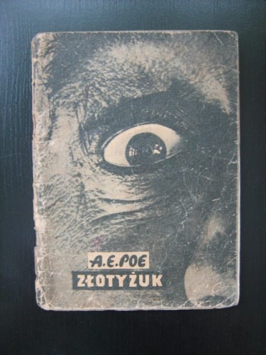 Zdjecia 007.jpg