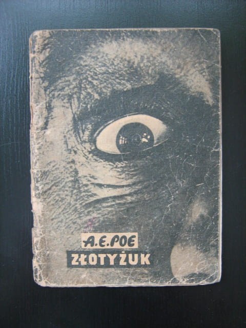 Zdjecia 007.jpg