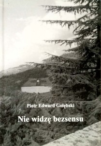 Piotr Edward Gołębski, Nie widzę bezsensu