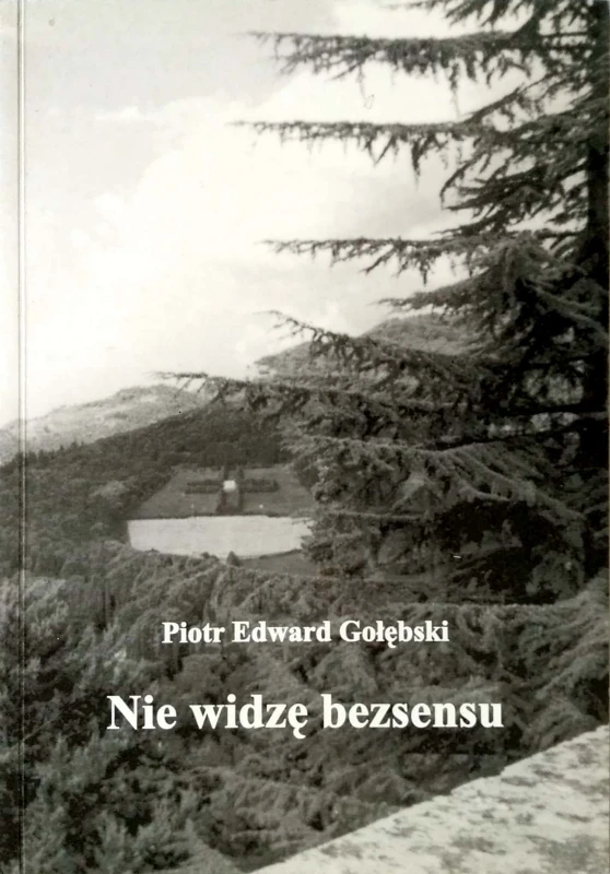 Nowy Dokument 2017-12-18_53.jpg