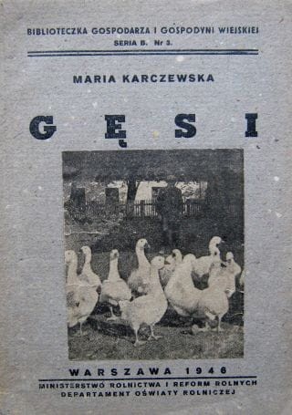 112.JPG