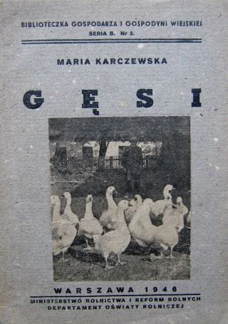 112.JPG