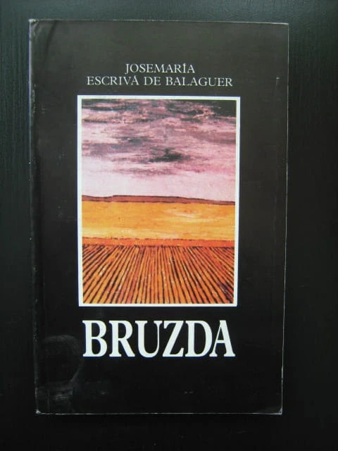 Zdjecia 011.jpg