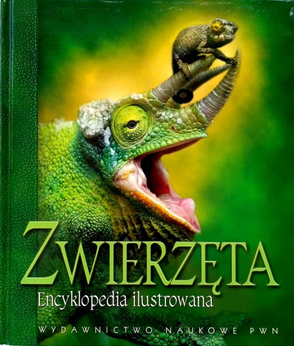 Nowy Dokument 2018-09-20 16.03.47_13.jpg