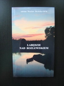 Adrian Wacław Brzózka, Łabędzie nad rozlewiskiem