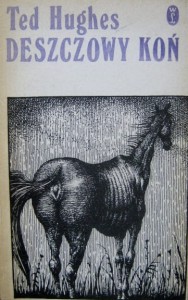 Ted Hughes, Deszczowy koń