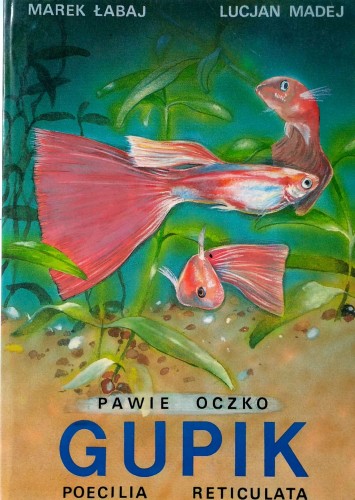 Nowy Dokument 2017-04-03_14.jpg