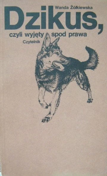 106.JPG