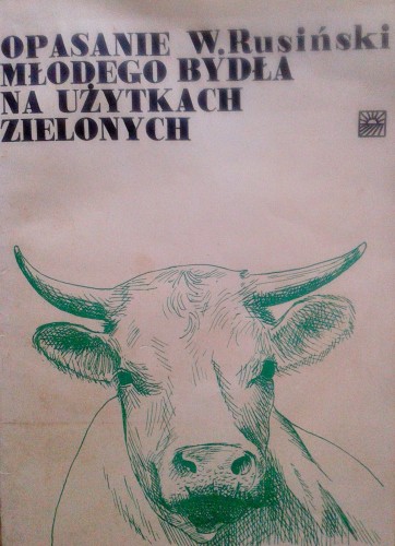 Zdjęcie-0256.jpg