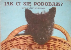 Józef Birkenmajer, Jak ci się podobam?